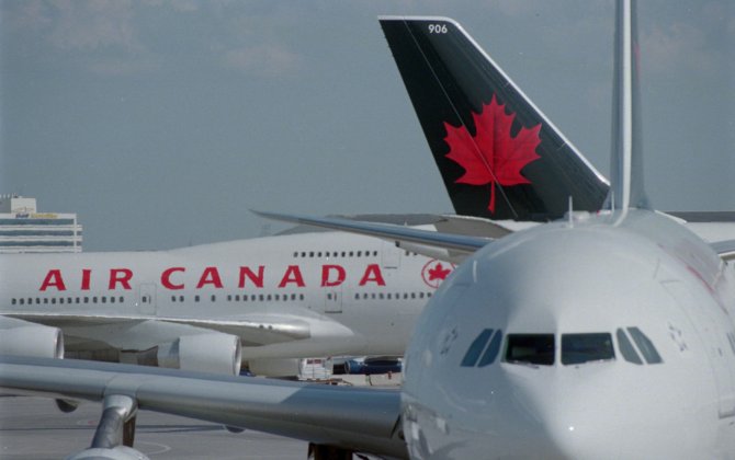 Commercial Airline Pilot Diverts Flight to Save Dog