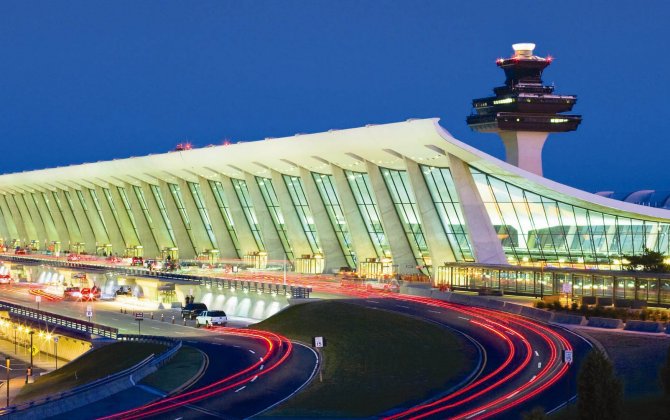 Beagle Trio Scour Taipei Airport for Fire Ants