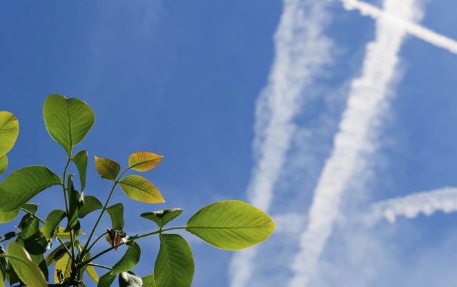 Policymakers move at snail&rsquo;s pace on fast jet emissions