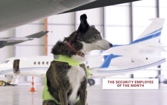 We offer a fully-secured environment for your business jet.