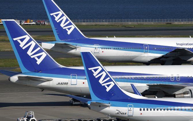 All Nippon Airways Flight Returns After Bird Strike