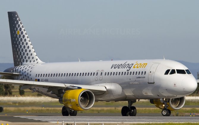 Vueling A320 at Turin on Dec. 1, 2015, Rejected Takeoff Due to Bird Strike