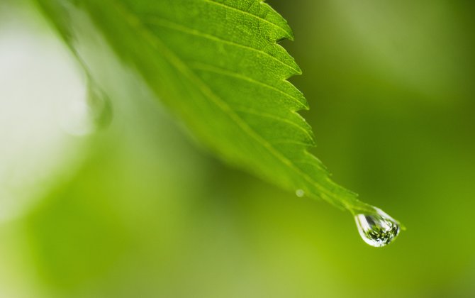 ICAO welcomes COP21 agreement, continues on aviation's environmental goals
