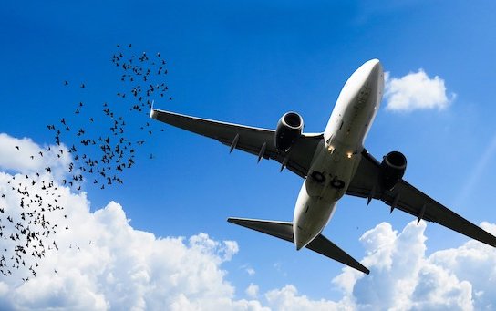 A small jet engine accident, a big bill