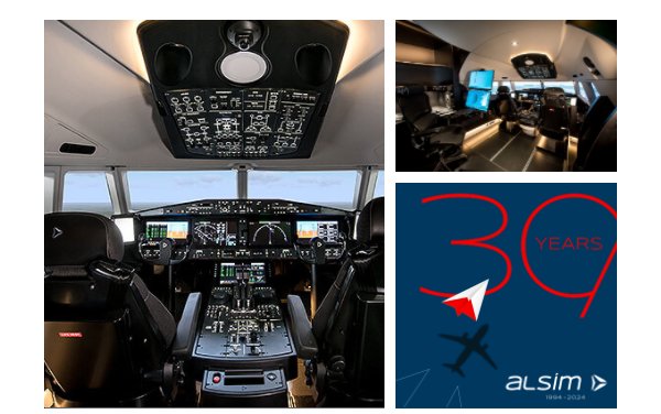ALSIM celebrates 30th anniversary