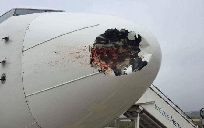 Bird strike leaves huge dent in passenger jet as it lands at Heathrow