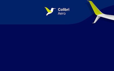 Cargo containers for Airbus and Boeing widebody passenger cabins