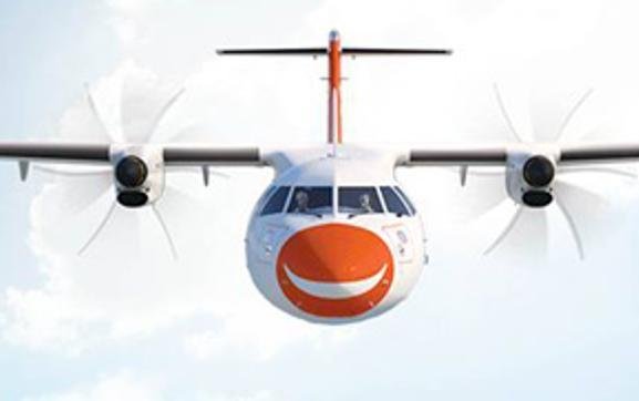 DGCA sacks flight safety chief of Air Pegasus, suspends 5 pilots