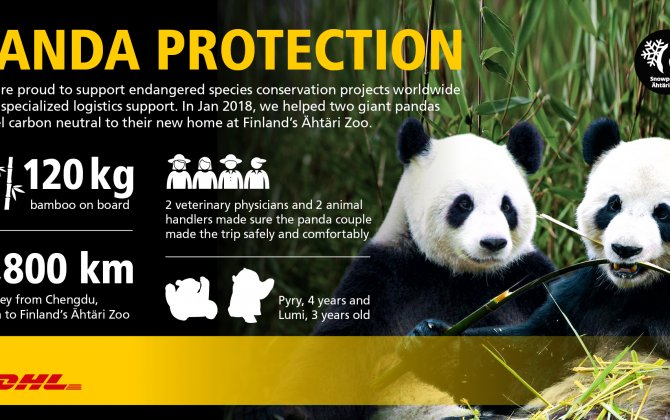 DHL transports panda couple from China to Finland 