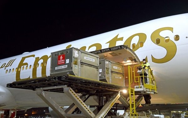 Emirates SkyCargo transports first batch of COVID-19 vaccines for Dubai Health Authority