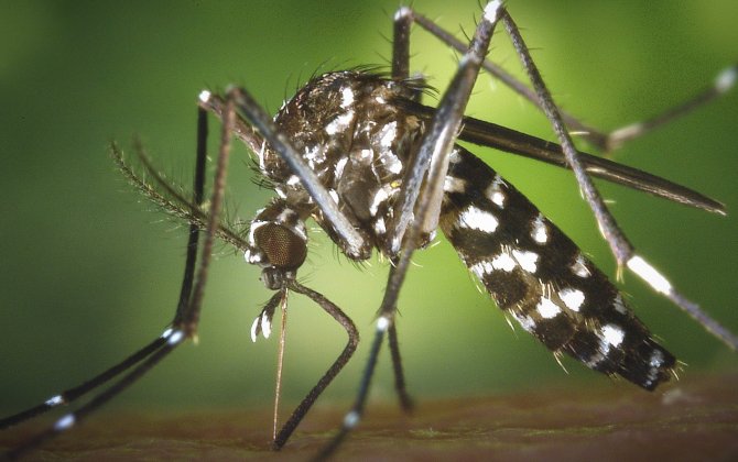 MEDAIRE shares latest on ZIKA-RELATED travel risks at EBACE