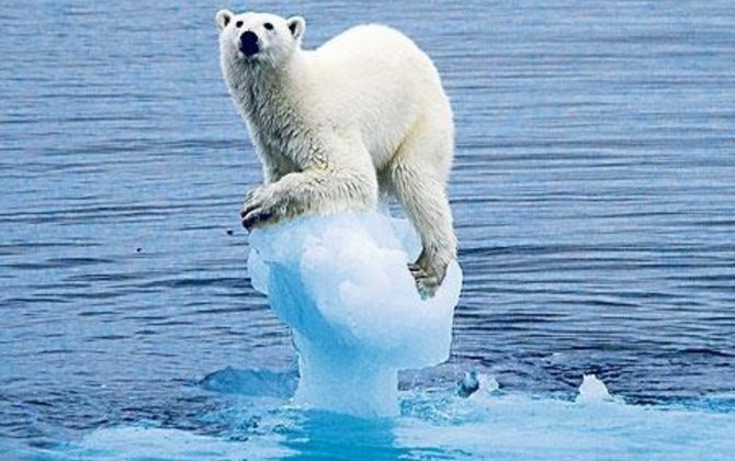New research uncovers the 'myths' behind technological solutions to aviation's climate change crisis 