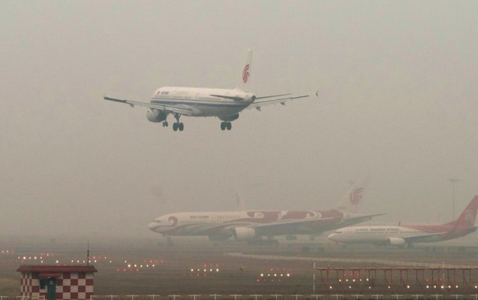 Plane returns to airport in China after rat spotted on board
