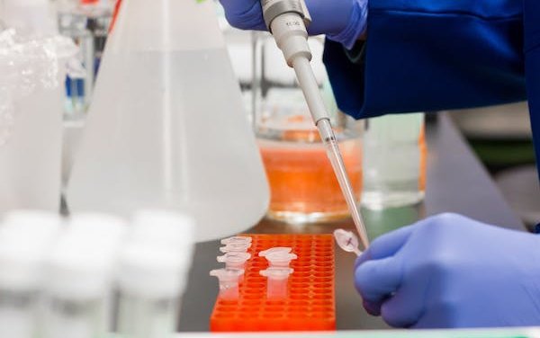 Pressure intensifies to drop quarantines in favour of EU-wide passenger testing protocol