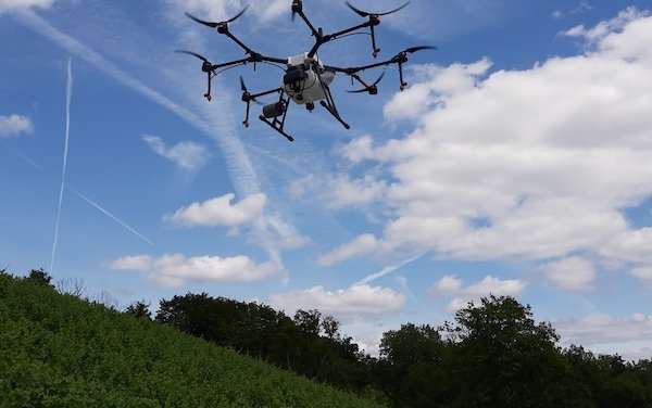 Vineyards in Luxembourg are safe with drone pilot project