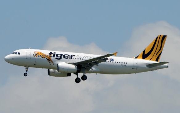 Why planes are nearly always white?